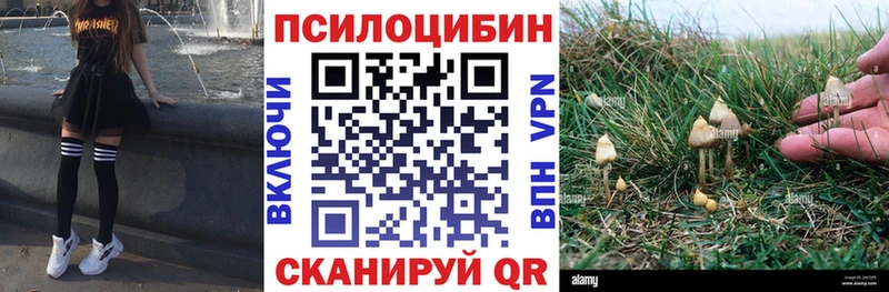 Псилоцибиновые грибы GOLDEN TEACHER  Красноуральск 
